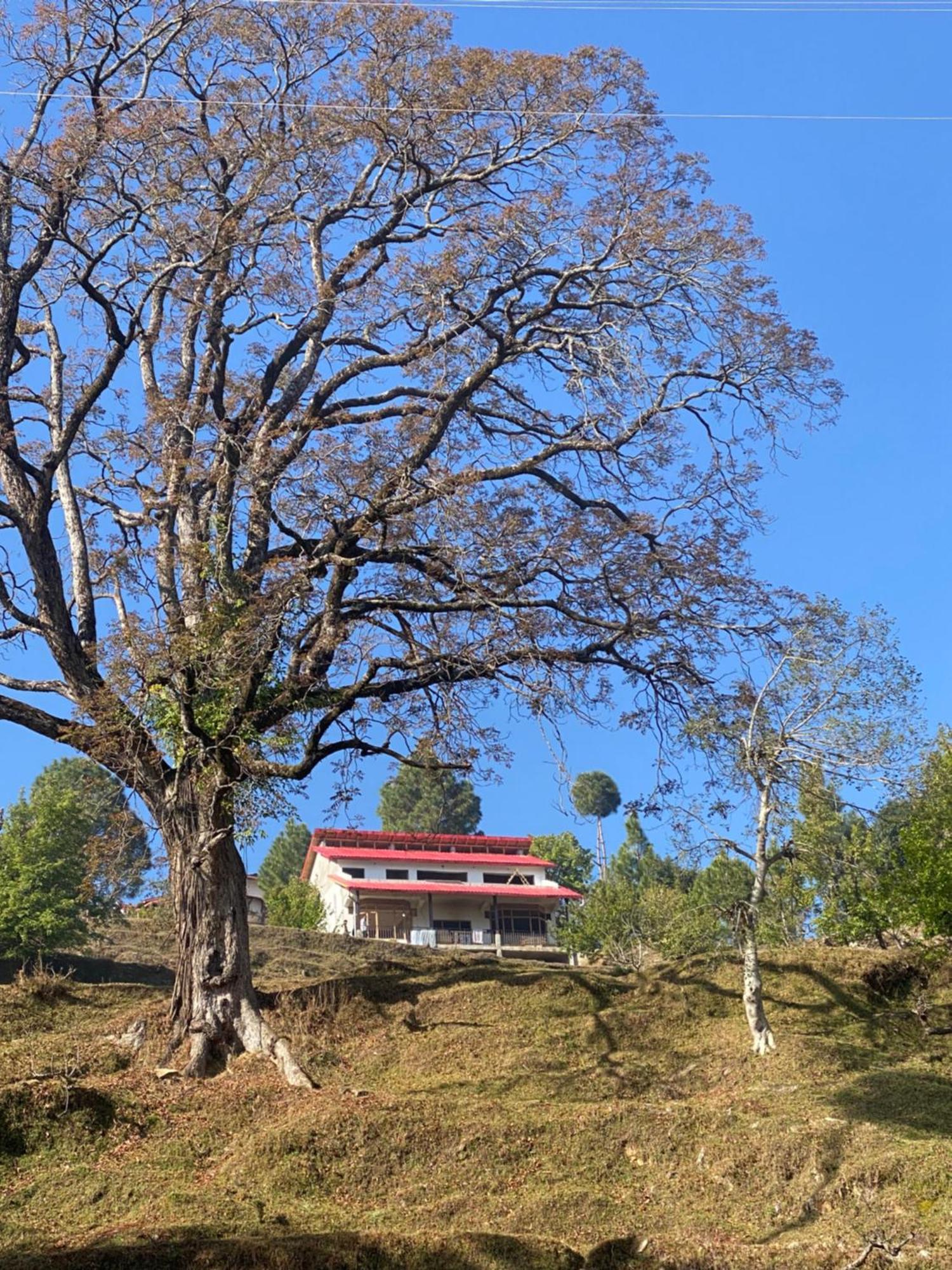 Little Frida- The Dak Bungalows Mukteshwar Extérieur photo